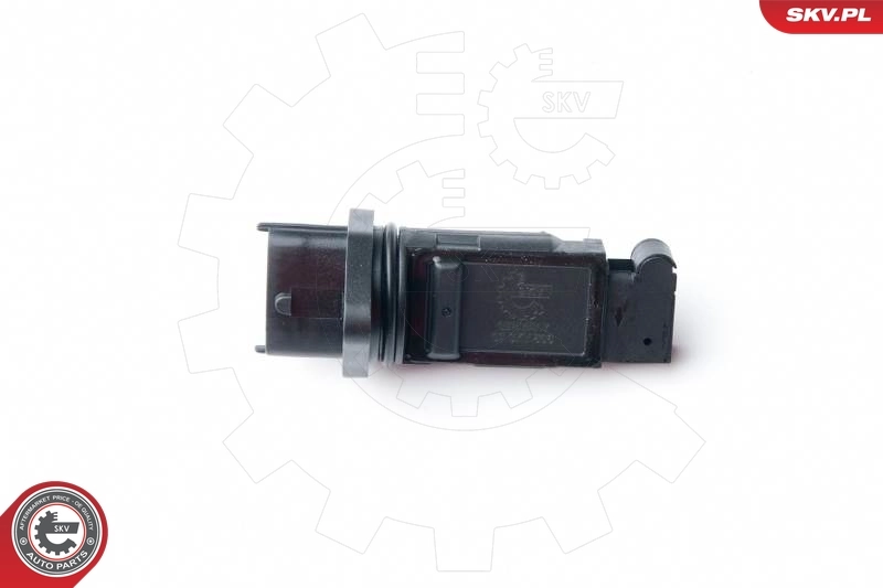 Mass Air Flow Sensor